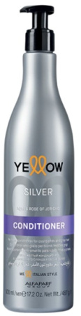 Анти-жёлтый шампунь для холодного блонда и седых волос Silver Shampoo, 500 мл